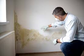 Best Forensic Mold Investigation  in Chatham, IL